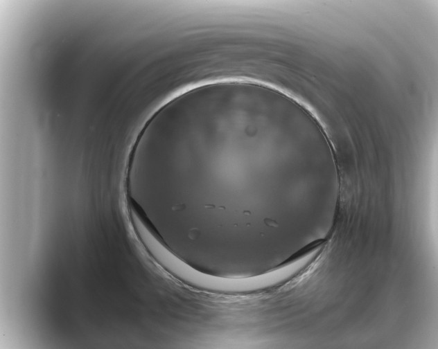 X0000089411534200706221126