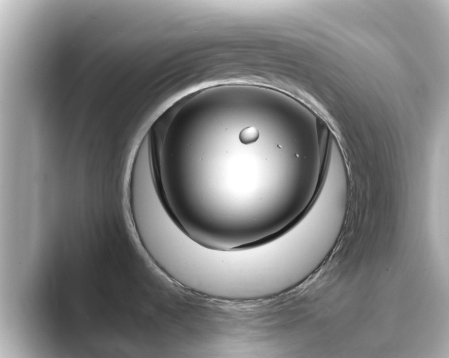 X0000089411536200706221126
