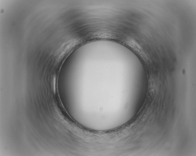 X0000089410014200706291019