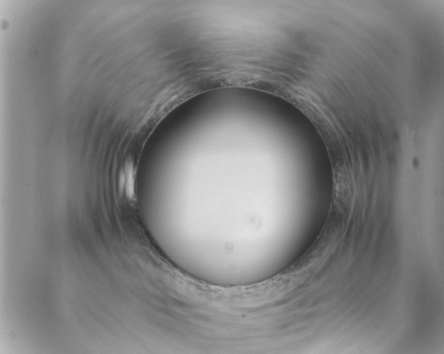 X0000089410046200706291019