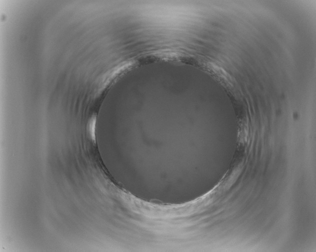 X0000089410047200706291019