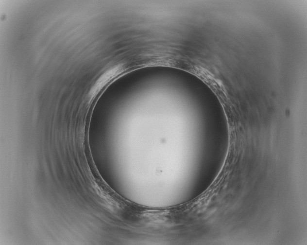 X0000089410051200706291018
