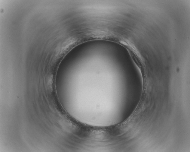 X0000089410066200706291018
