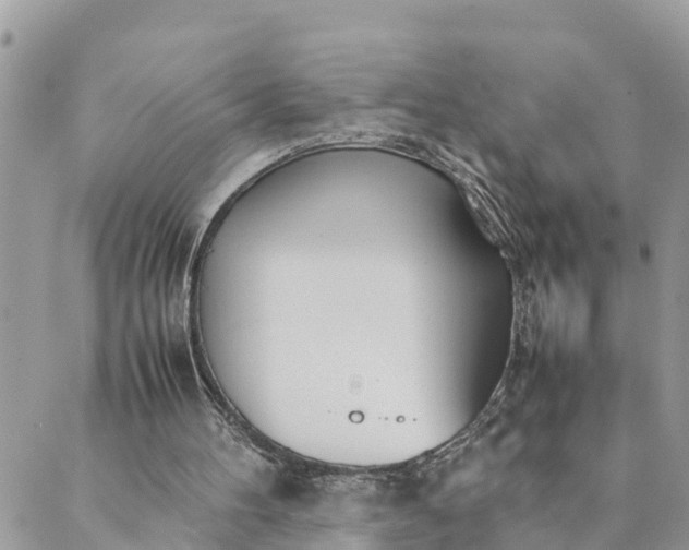 X0000089410100200706291018