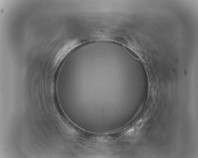 X0000089410103200706291018