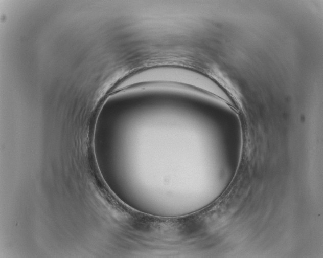 X0000089410107200706291018