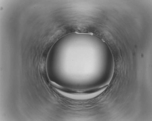 X0000089410129200706291017