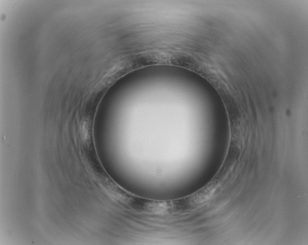 X0000089410131200706291017