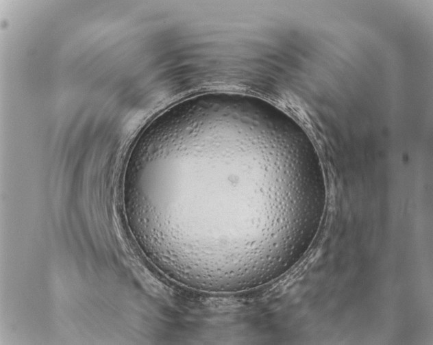 X0000089410145200706291016