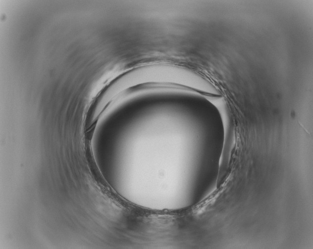 X0000089410150200706291016