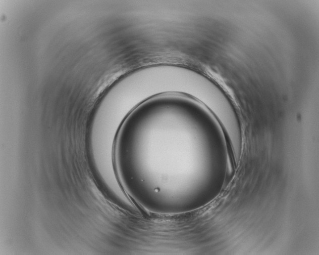 X0000089410154200706291017