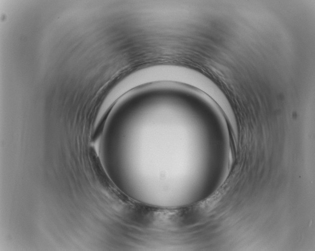 X0000089410172200706291017