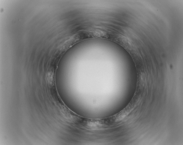 X0000089410177200706291017
