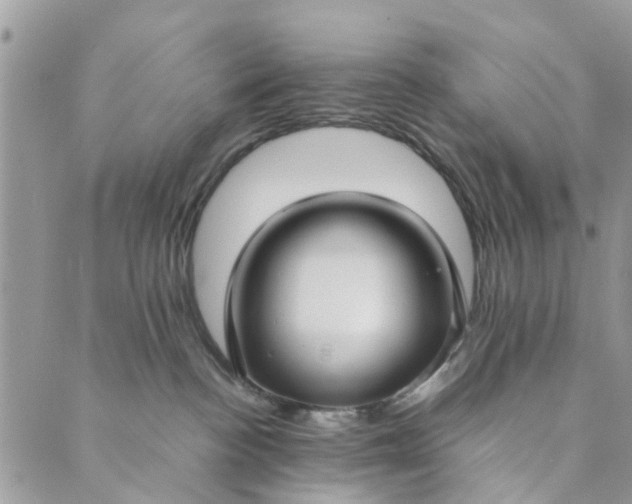 X0000089410188200706291017