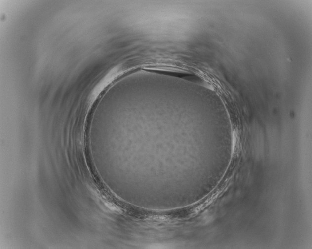 X0000089410195200706291016
