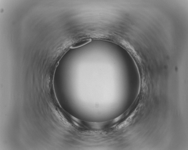 X0000089410201200706291016