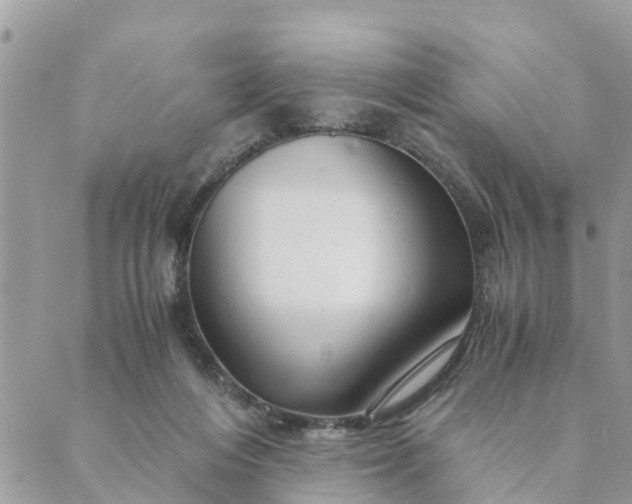 X0000089410216200706291016