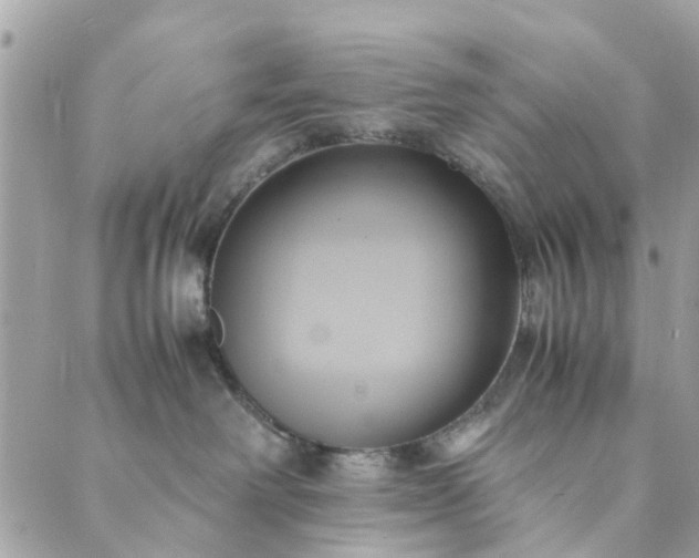 X0000089410238200706291016