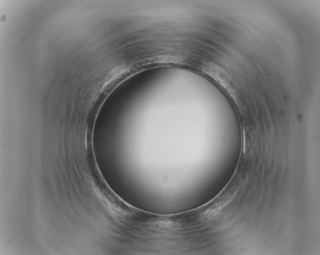 X0000089410253200706291015
