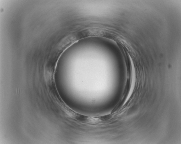 X0000089410333200706291014