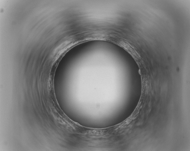 X0000089410338200706291013