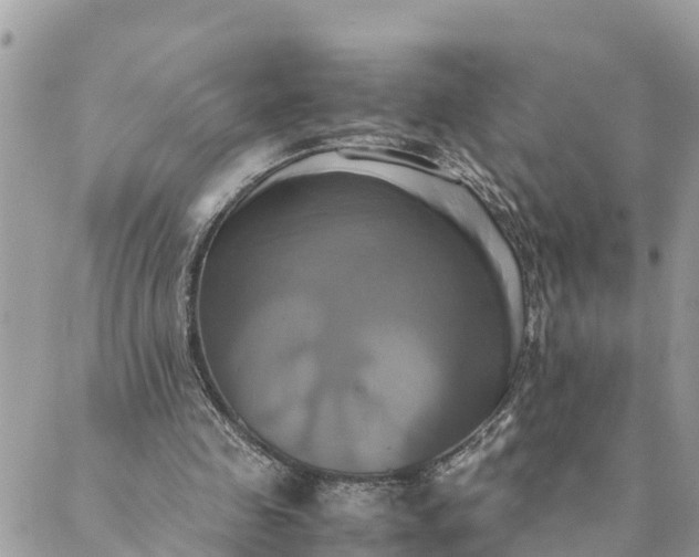X0000089410341200706291013