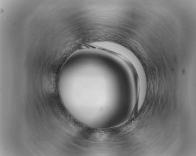 X0000089410416200706291013