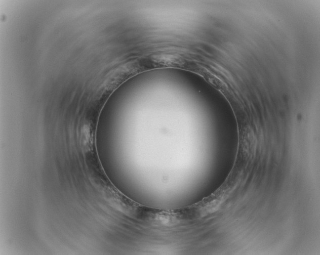 X0000089410420200706291013