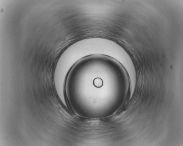 X0000089410428200706291013
