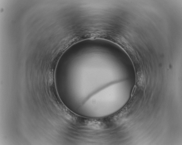 X0000089410471200706291012