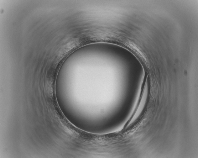 X0000089410489200706291012