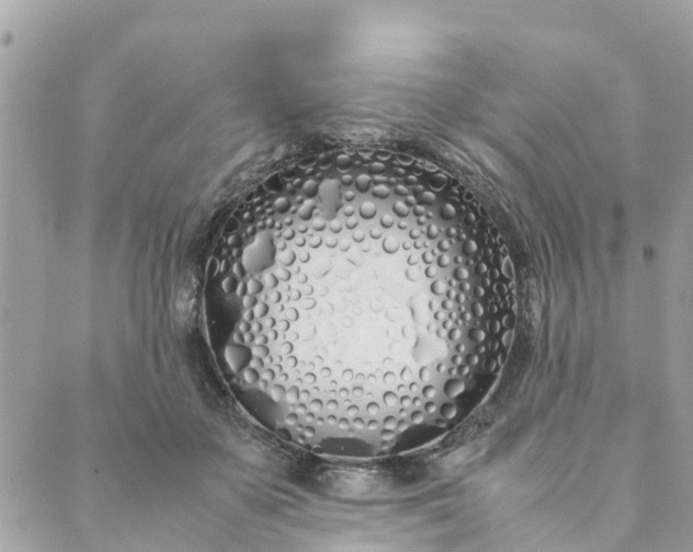 X0000089410507200706291011