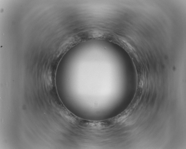 X0000089410524200706291011