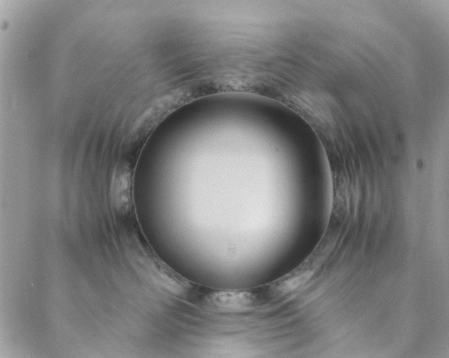 X0000089410526200706291011