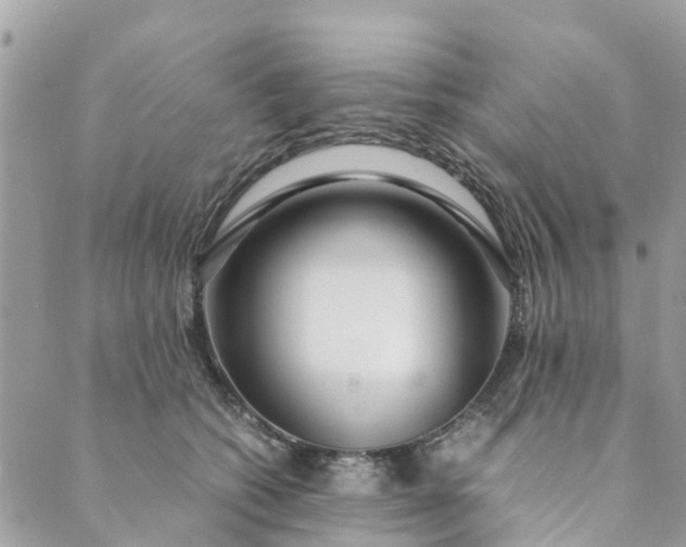 X0000089410562200706291011