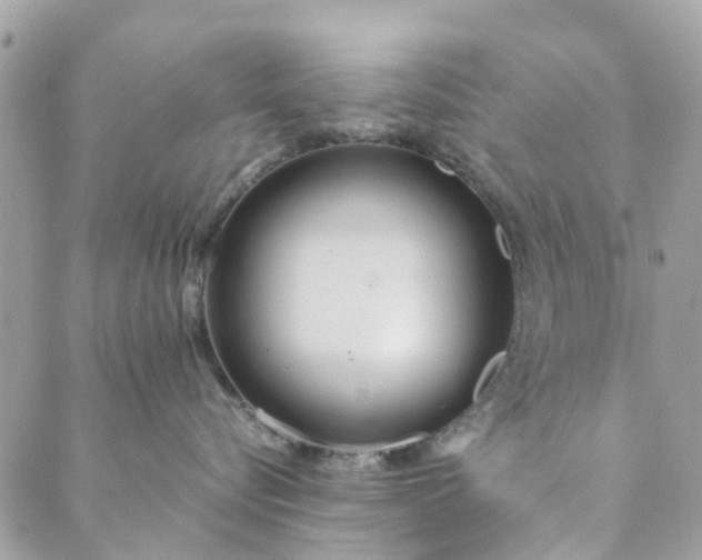 X0000089410576200706291011