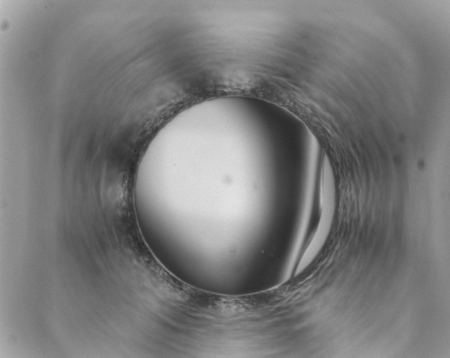X0000089410608200706291010