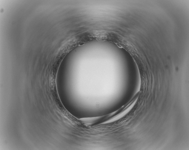X0000089410609200706291010