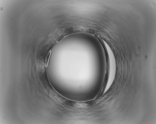 X0000089410617200706291010