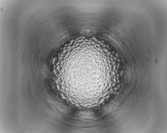 X0000089410659200706291009