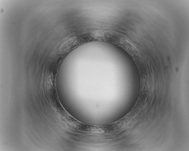 X0000089410702200706291008