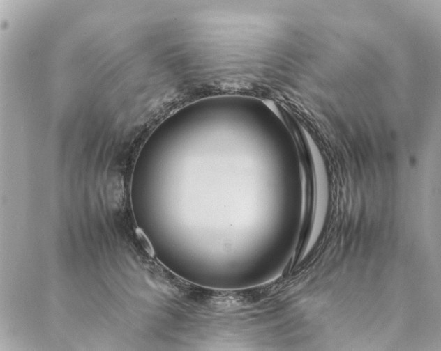 X0000089410704200706291008
