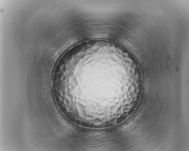 X0000089410721200706291007