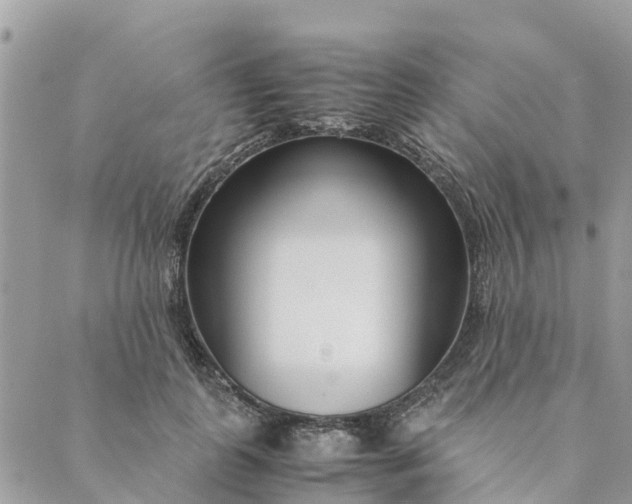 X0000089410747200706291008