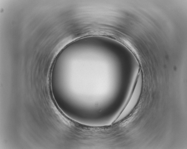 X0000089410803200706291007