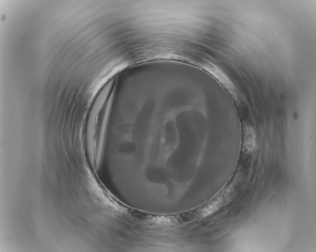 X0000089410806200706291006