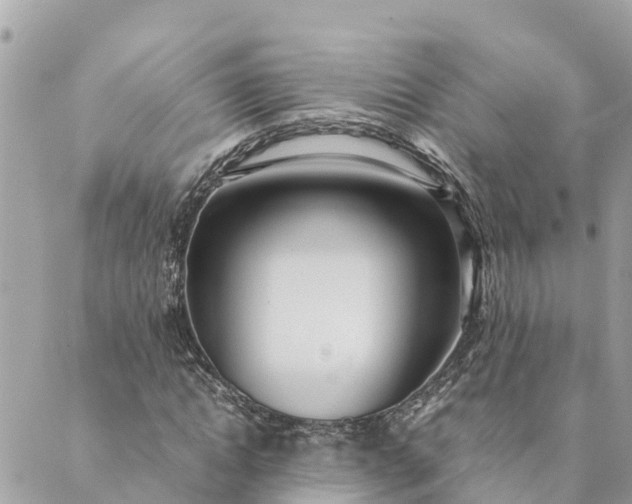 X0000089410822200706291006