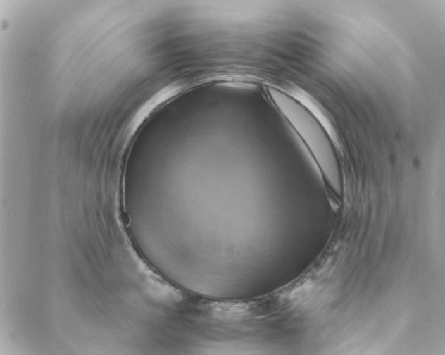 X0000089410861200706291006