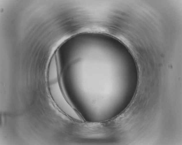 X0000089410864200706291006