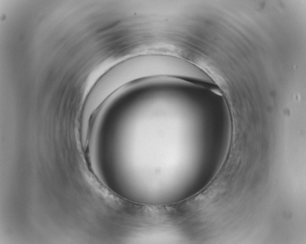 X0000089410960200706291005